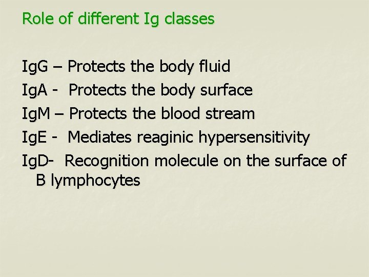 Role of different Ig classes Ig. G – Protects the body fluid Ig. A