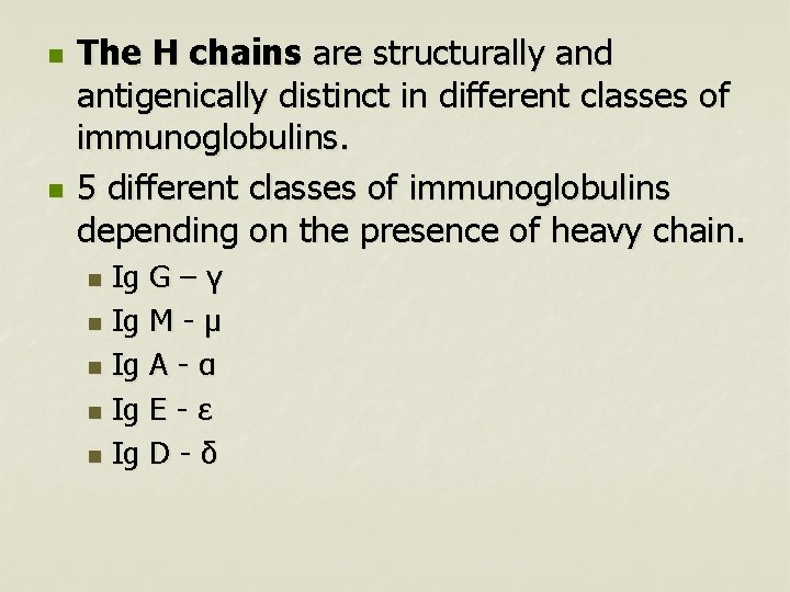 n n The H chains are structurally and antigenically distinct in different classes of