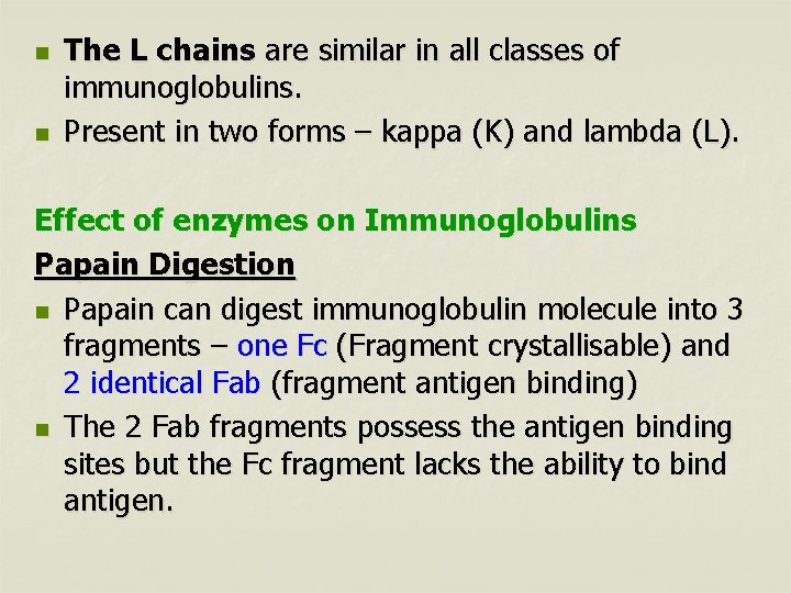 n n The L chains are similar in all classes of immunoglobulins. Present in