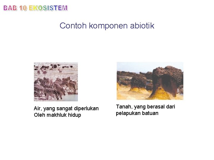 Contoh komponen abiotik Air, yang sangat diperlukan Oleh makhluk hidup Tanah, yang berasal dari