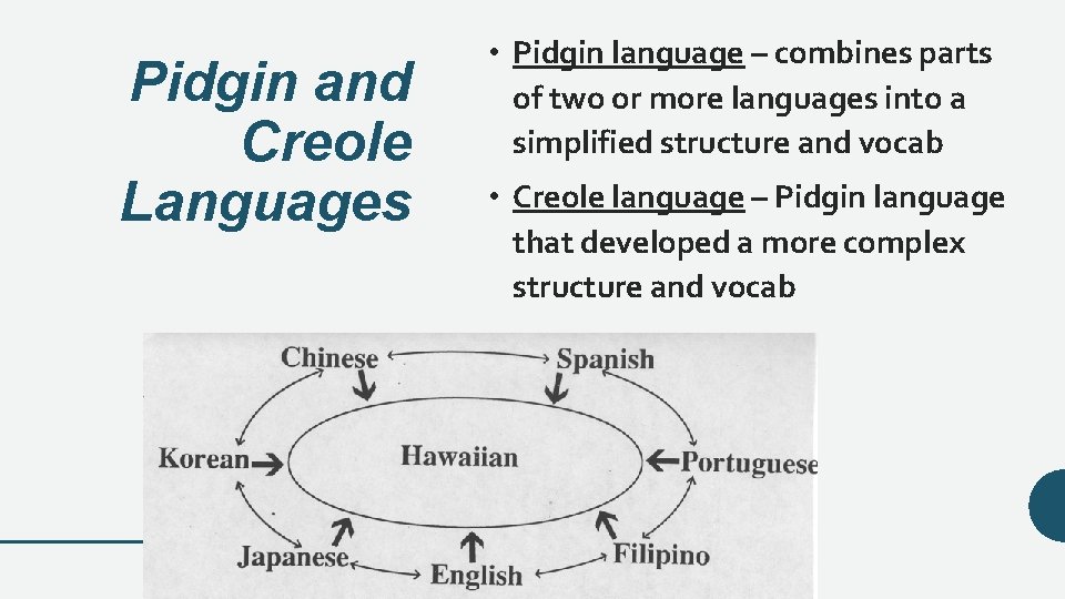 Pidgin and Creole Languages • Pidgin language – combines parts of two or more