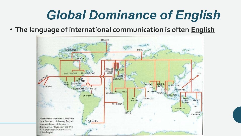 Global Dominance of English • The language of international communication is often English 