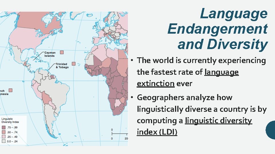 Language Endangerment and Diversity • The world is currently experiencing the fastest rate of
