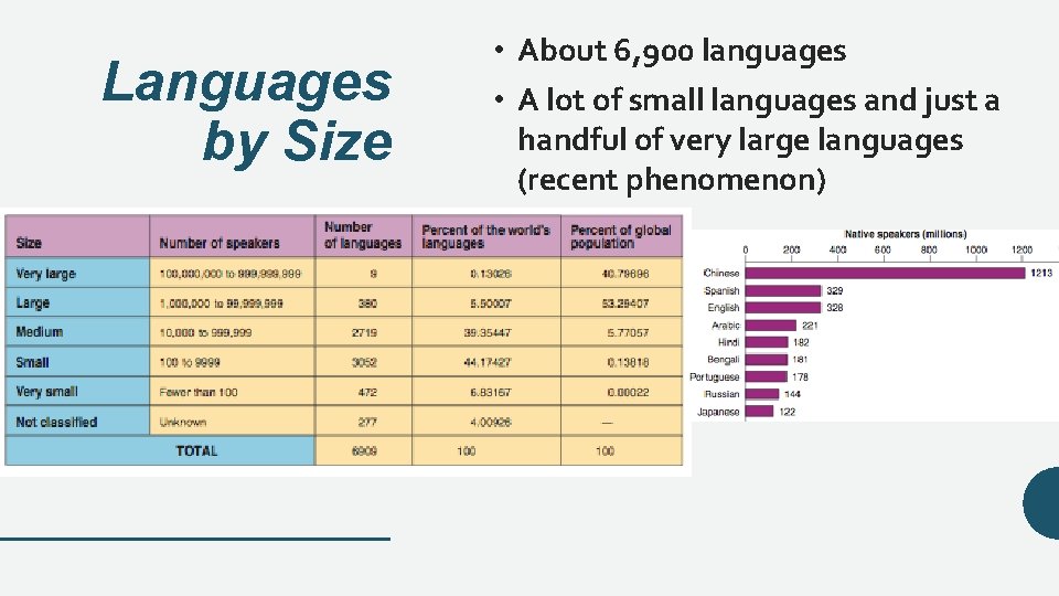 Languages by Size • About 6, 900 languages • A lot of small languages