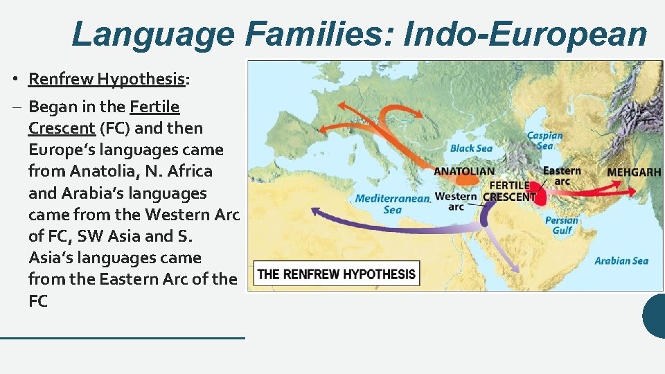 Language Families: Indo-European • Renfrew Hypothesis: – Began in the Fertile Crescent (FC) and