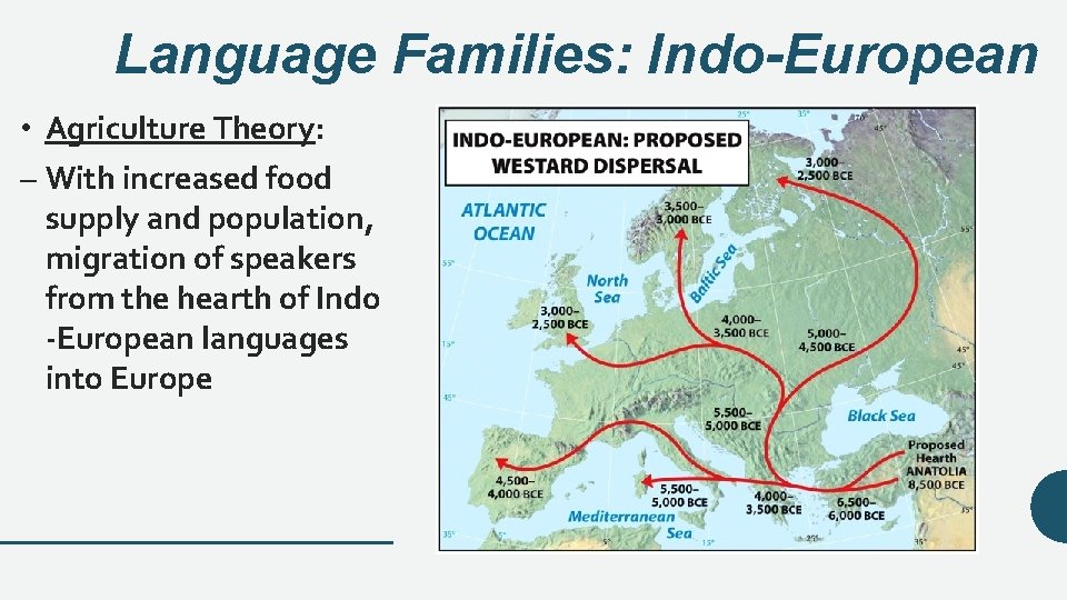 Language Families: Indo-European • Agriculture Theory: – With increased food supply and population, migration