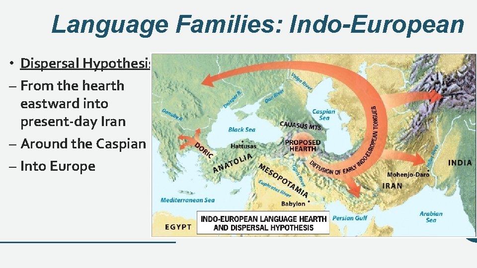 Language Families: Indo-European • Dispersal Hypothesis: – From the hearth eastward into present-day Iran