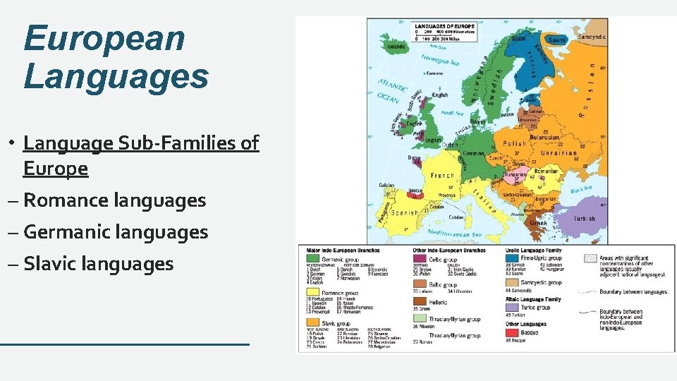European Languages • Language Sub-Families of Europe – Romance languages – Germanic languages –