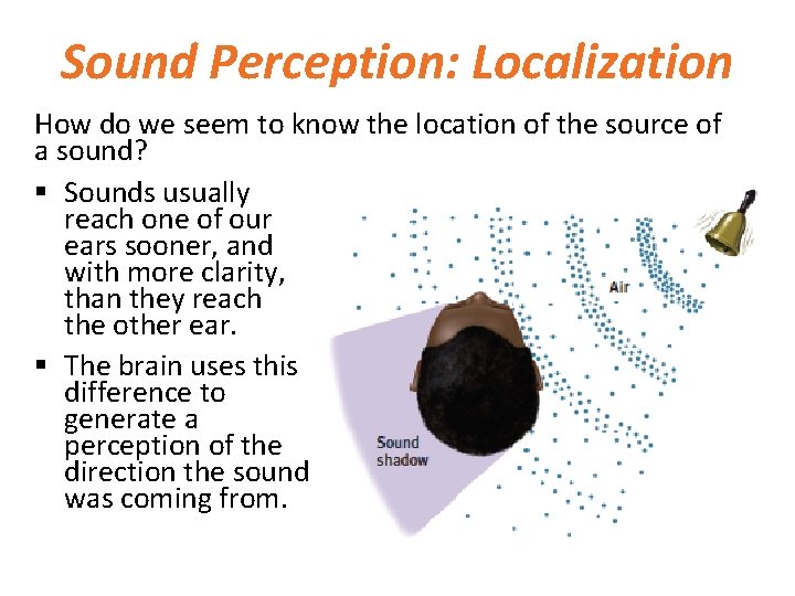 Sound Perception: Localization How do we seem to know the location of the source