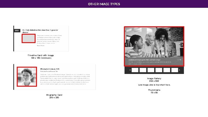 OTHER IMAGE TYPES Timeline Card with Image 180 x 150 (minimum) Image Gallery 800