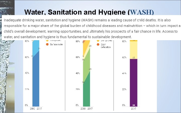 Water, Sanitation and Hygiene (WASH) 