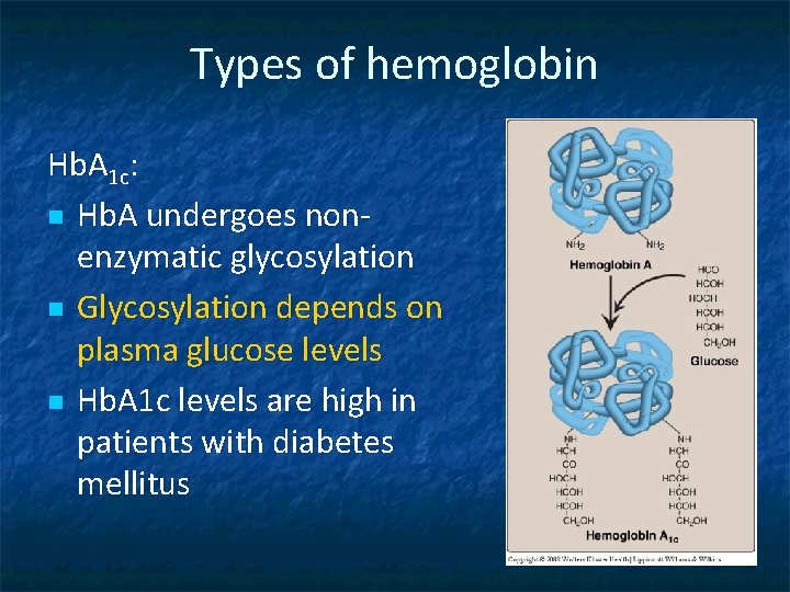 Types of hemoglobin Hb. A 1 c: n Hb. A undergoes nonenzymatic glycosylation n
