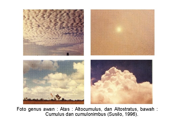 Foto genus awan : Atas : Altocumulus, dan Altostratus, bawah : Cumulus dan cumulonimbus