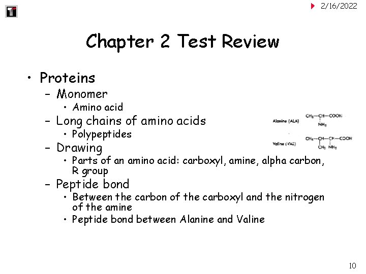 2/16/2022 Chapter 2 Test Review • Proteins – Monomer • Amino acid – Long