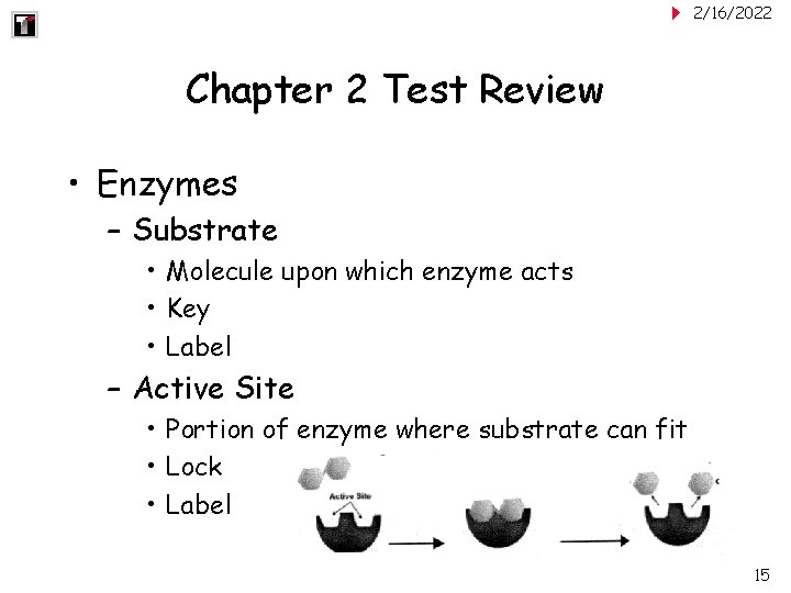 2/16/2022 Chapter 2 Test Review • Enzymes – Substrate • Molecule upon which enzyme