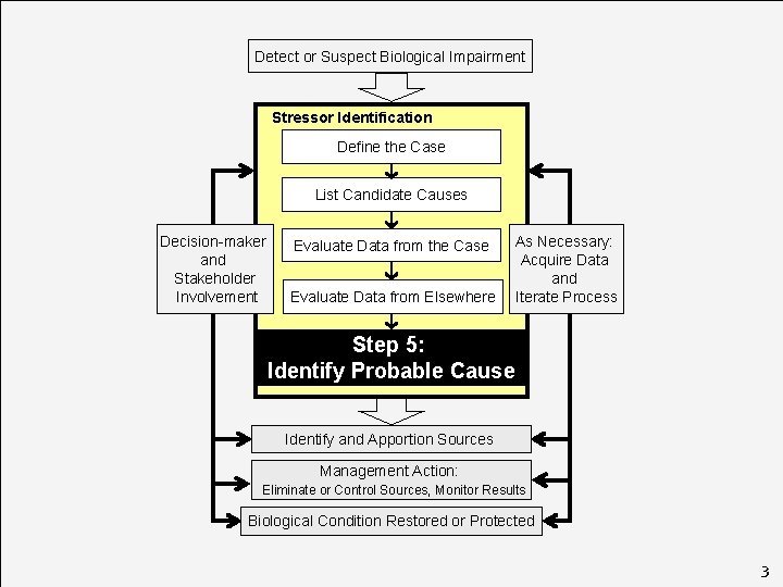 Detect or Suspect Biological Impairment Stressor Identification Define the Case List Candidate Causes Decision-maker