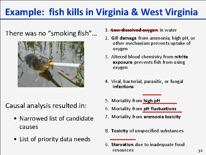 Example: fish kills in Virginia & West Virginia There was no “smoking fish”… 1.