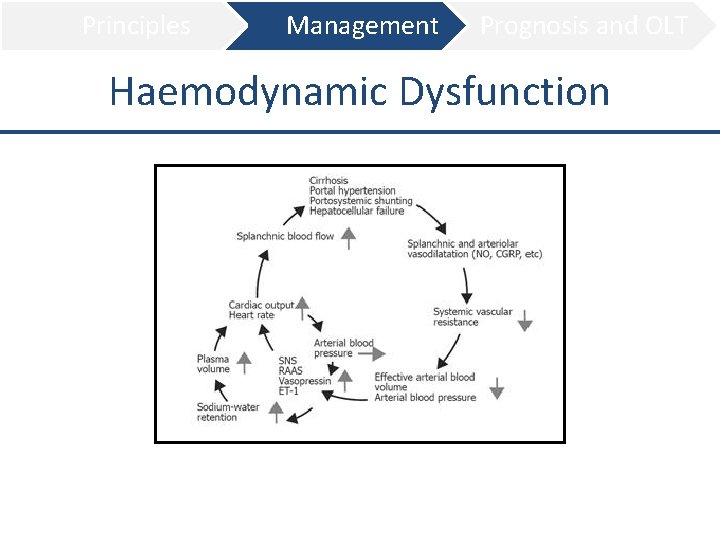 Principles Management Prognosis and OLT Haemodynamic Dysfunction 