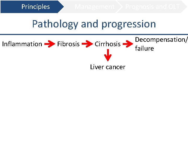 Principles Management Prognosis and OLT Pathology and progression Inflammation Fibrosis Cirrhosis Liver cancer Decompensation/