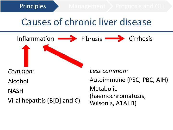 Principles Management Prognosis and OLT Causes of chronic liver disease Inflammation Common: Alcohol NASH