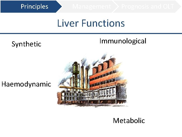Principles Management Prognosis and OLT Liver Functions Synthetic Immunological Haemodynamic Metabolic 