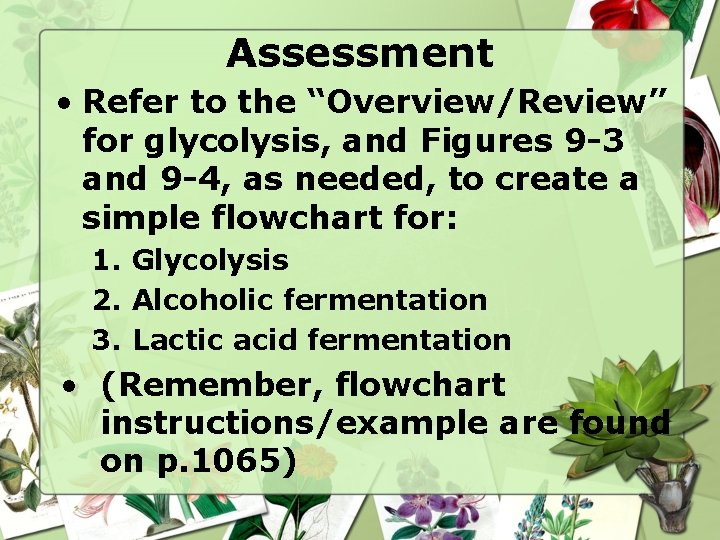 Assessment • Refer to the “Overview/Review” for glycolysis, and Figures 9 -3 and 9
