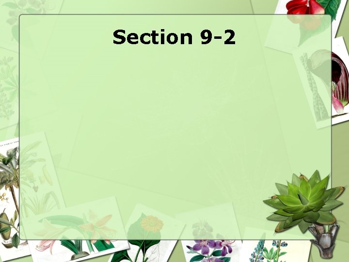Section 9 -2 