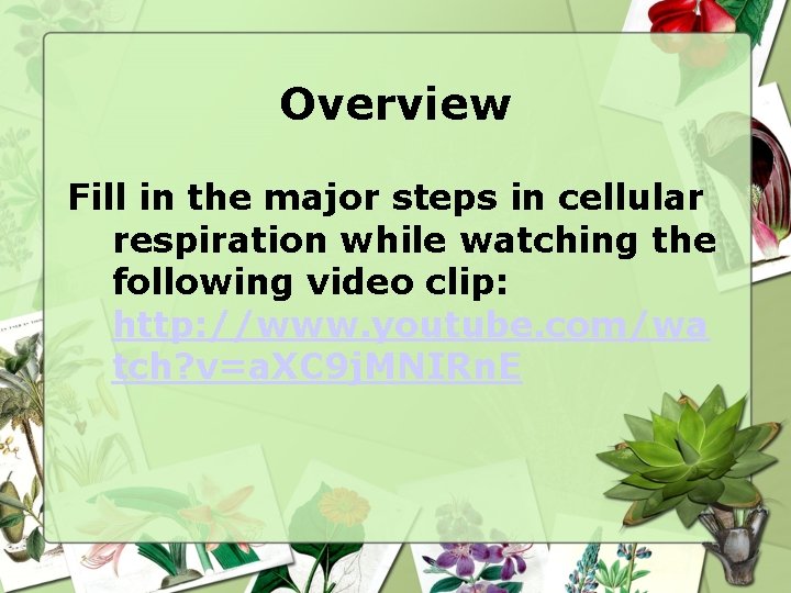Overview Fill in the major steps in cellular respiration while watching the following video