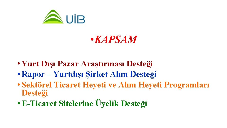  • KAPSAM • Yurt Dışı Pazar Araştırması Desteği • Rapor – Yurtdışı Şirket