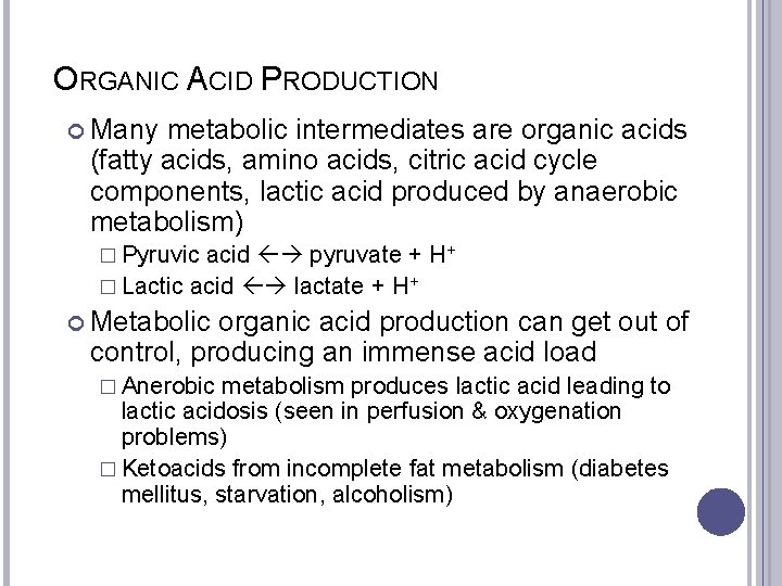 ORGANIC ACID PRODUCTION Many metabolic intermediates are organic acids (fatty acids, amino acids, citric