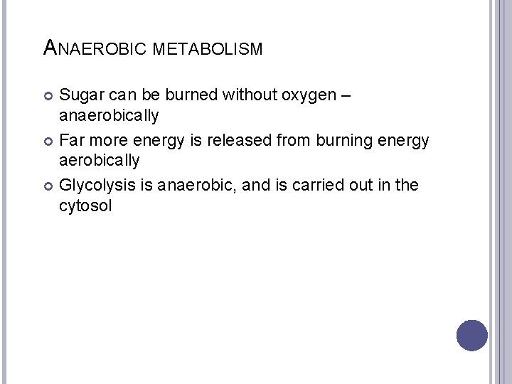 ANAEROBIC METABOLISM Sugar can be burned without oxygen – anaerobically Far more energy is