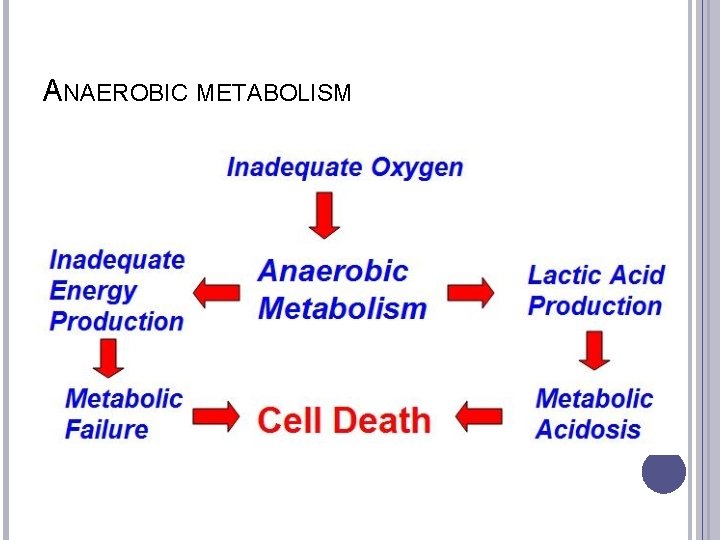 ANAEROBIC METABOLISM 