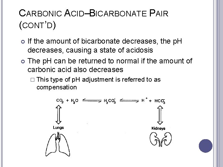 CARBONIC ACID–BICARBONATE PAIR (CONT’D) If the amount of bicarbonate decreases, the p. H decreases,