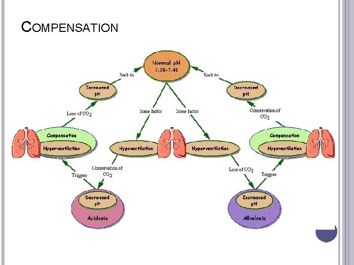 COMPENSATION 