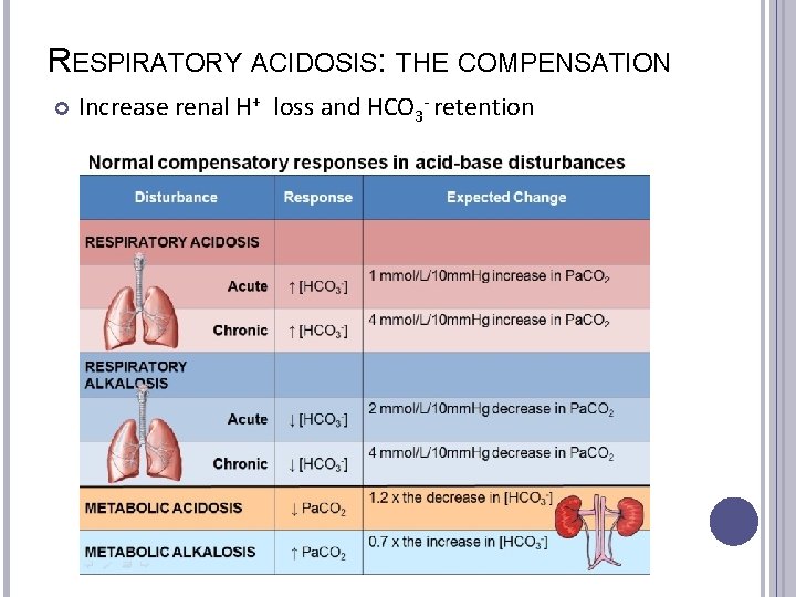 RESPIRATORY ACIDOSIS: THE COMPENSATION Increase renal H+ loss and HCO 3 - retention 