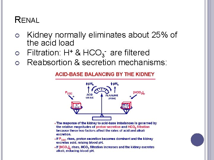 RENAL Kidney normally eliminates about 25% of the acid load Filtration: H+ & HCO