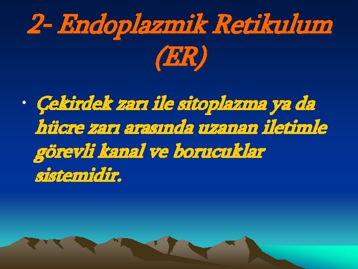 2 - Endoplazmik Retikulum (ER) • Çekirdek zarı ile sitoplazma ya da hücre zarı