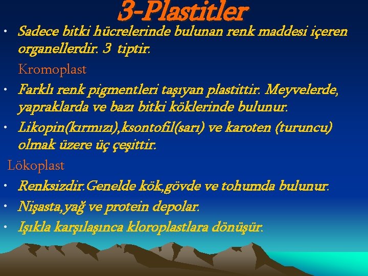 3 -Plastitler • Sadece bitki hücrelerinde bulunan renk maddesi içeren organellerdir. 3 tiptir. Kromoplast