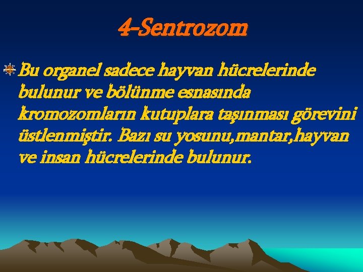 4 -Sentrozom Bu organel sadece hayvan hücrelerinde bulunur ve bölünme esnasında kromozomların kutuplara taşınması