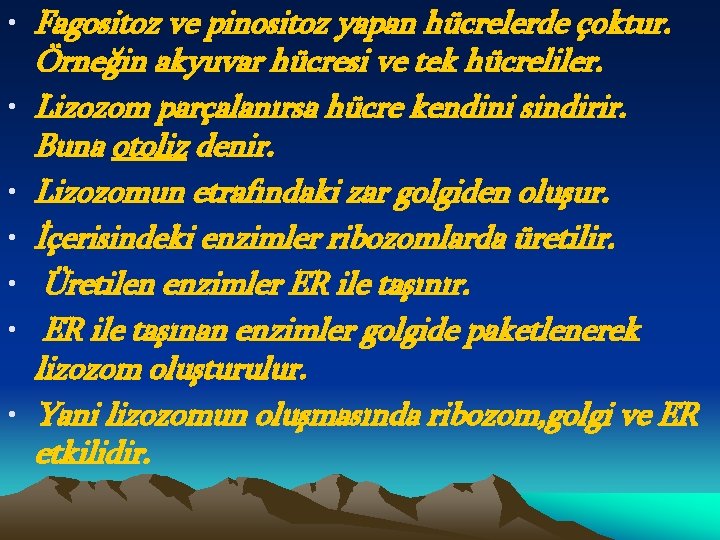  • Fagositoz ve pinositoz yapan hücrelerde çoktur. Örneğin akyuvar hücresi ve tek hücreliler.