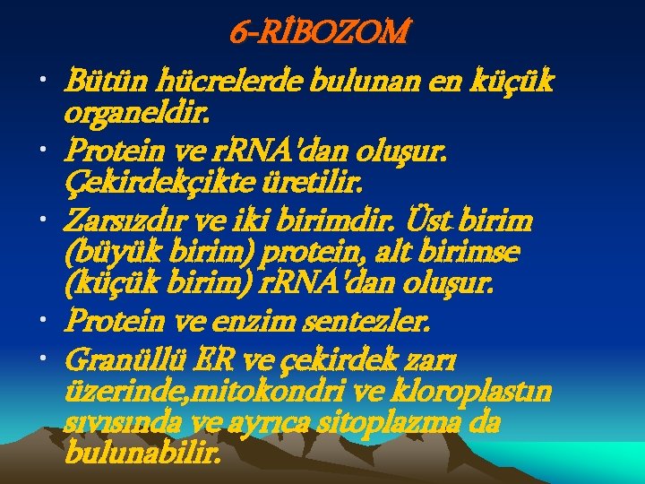  • • • 6 -RİBOZOM Bütün hücrelerde bulunan en küçük organeldir. Protein ve