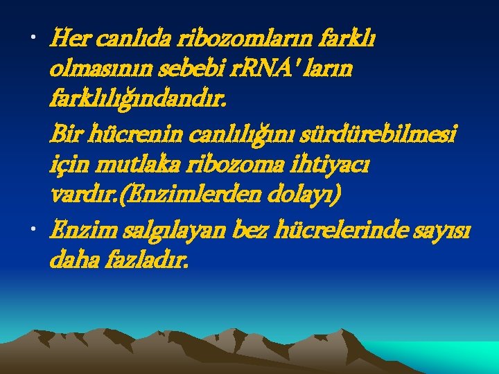  • Her canlıda ribozomların farklı olmasının sebebi r. RNA' ların farklılığındandır. Bir hücrenin