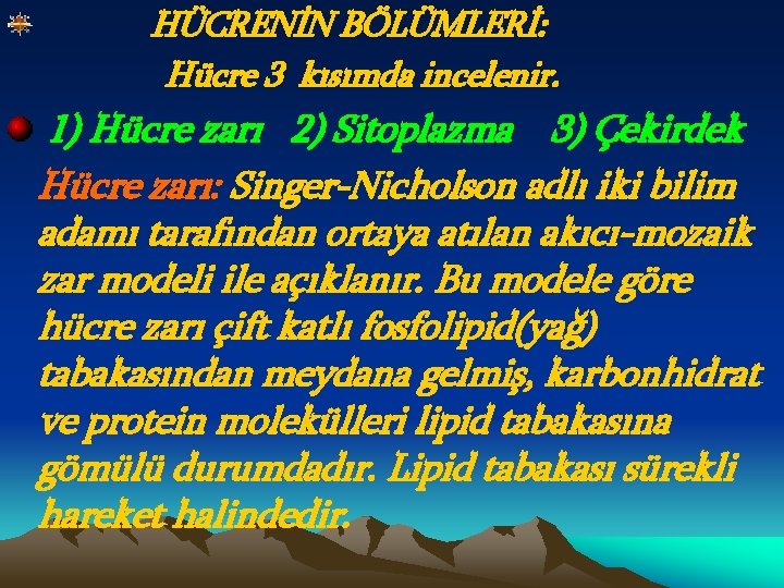 HÜCRENİN BÖLÜMLERİ: Hücre 3 kısımda incelenir. 1) Hücre zarı 2) Sitoplazma 3) Çekirdek Hücre