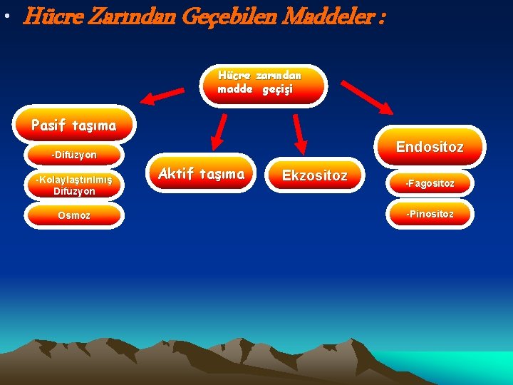  • Hücre Zarından Geçebilen Maddeler : Hücre zarından madde geçişi Pasif taşıma Endositoz