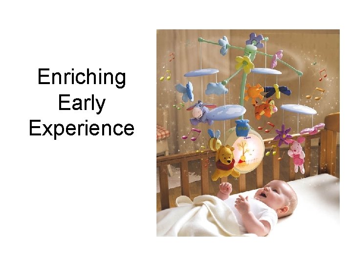 Enriching Early Experience 