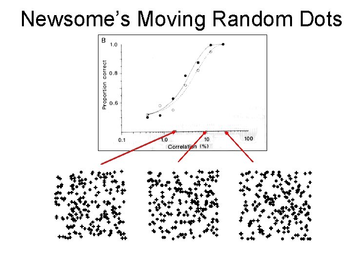 Newsome’s Moving Random Dots 