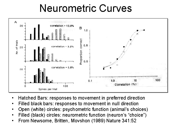 Neurometric Curves • • • Hatched Bars: responses to movement in preferred direction Filled