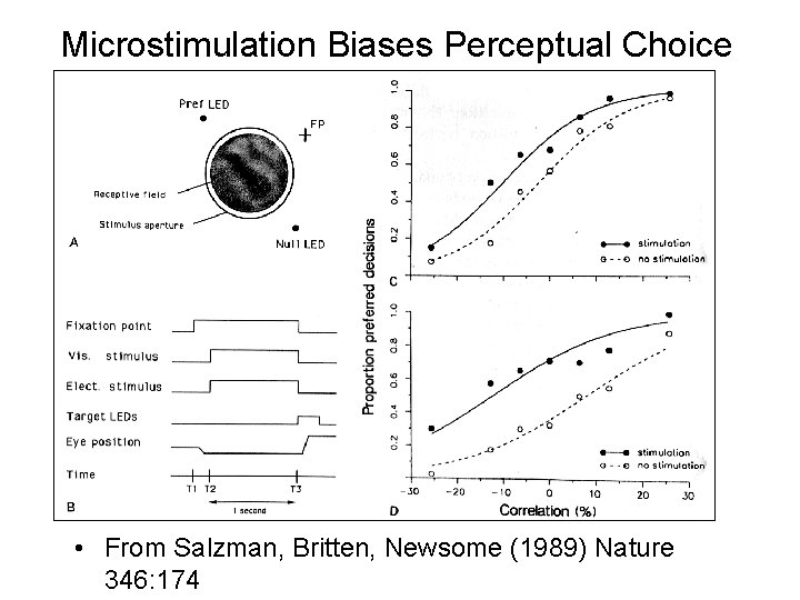 Microstimulation Biases Perceptual Choice • From Salzman, Britten, Newsome (1989) Nature 346: 174 