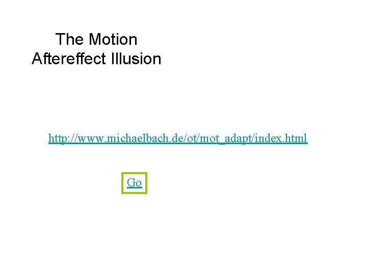 The Motion Aftereffect Illusion http: //www. michaelbach. de/ot/mot_adapt/index. html Go 