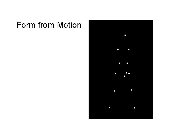 Form from Motion means that if you want to predict the PSTH of 